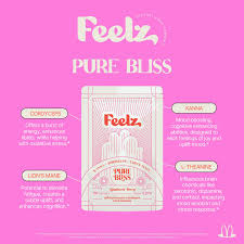 Feelz Pure Bliss Rainforest Berry-Kanna, Cordyceps, Lions mane