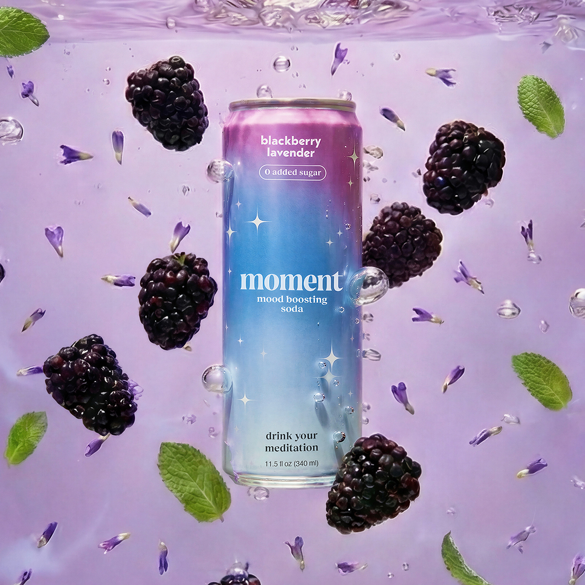 blackberry lavender (botanical soda | 24 pack) (Online Exclusive)