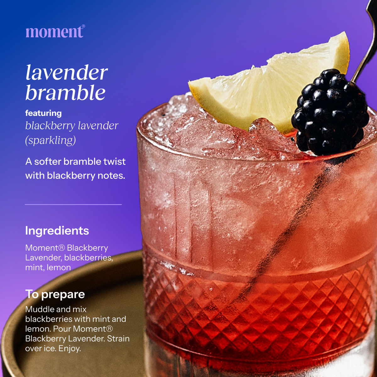 blackberry lavender (botanical soda | 24 pack) (Online Exclusive)