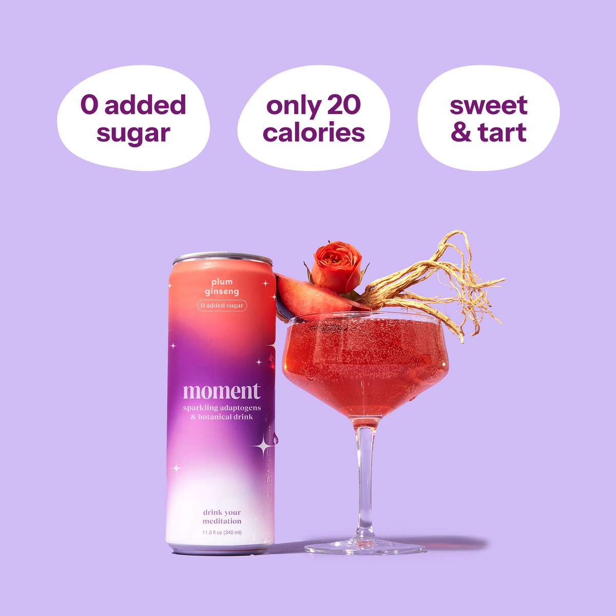 plum spritz (sparkling mocktail | 12 pack) (Online Exclusive)