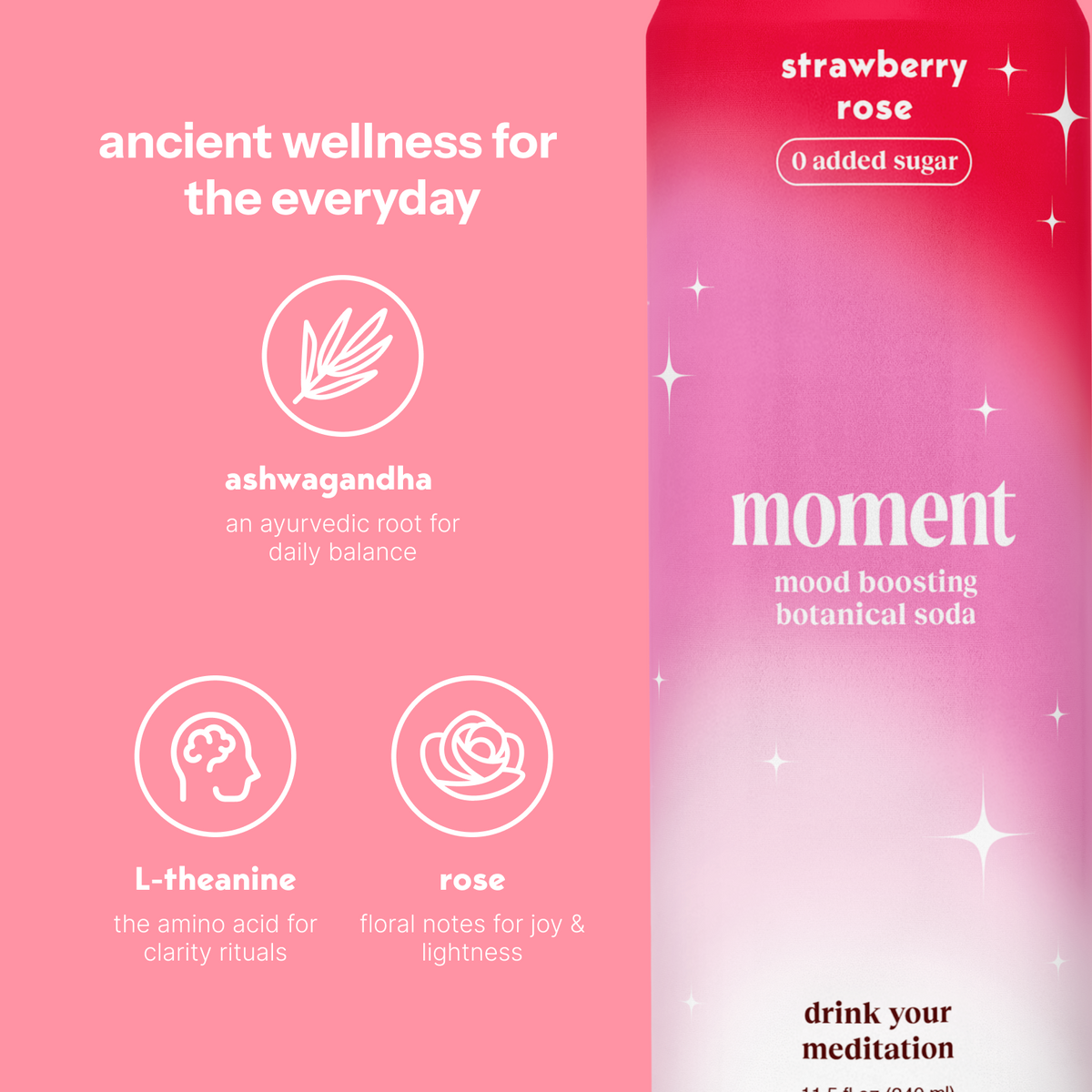strawberry rose (botanical soda | 12 pack) (Online Exclusive)