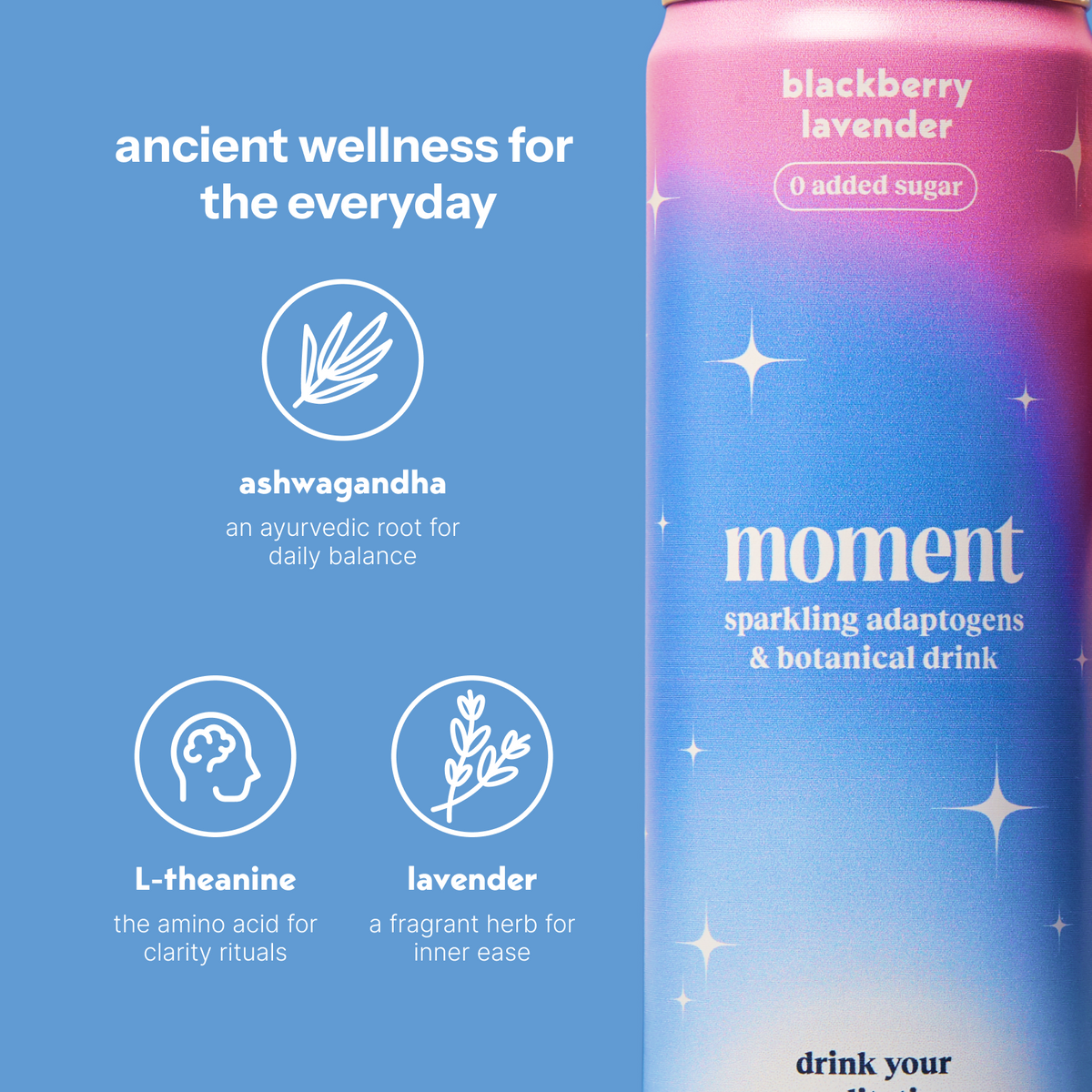 blackberry lavender (botanical soda | 24 pack) (Online Exclusive)