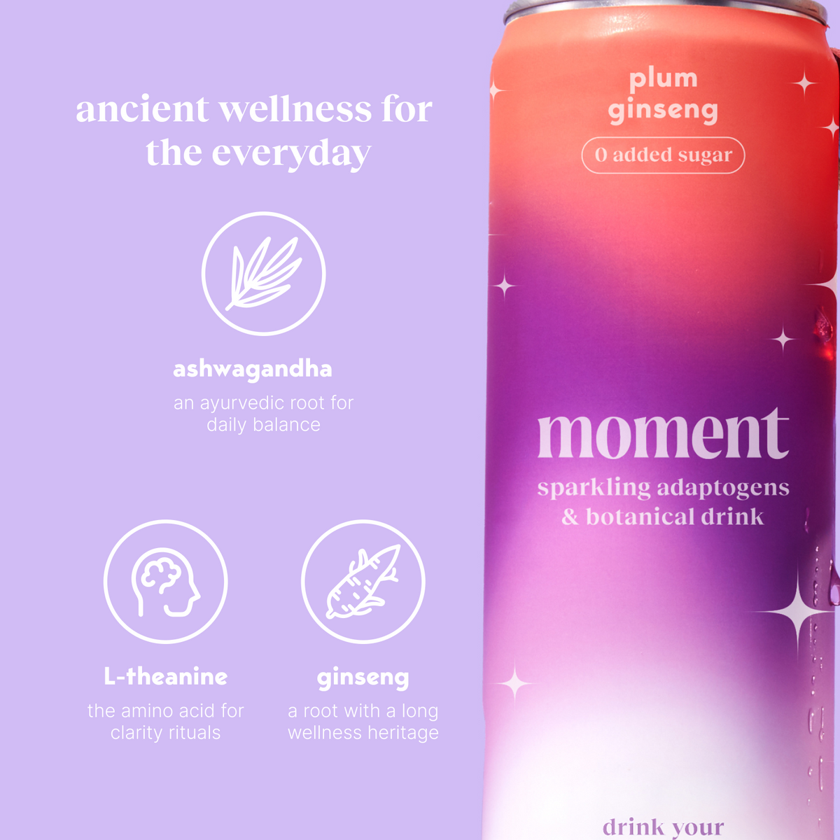 plum spritz (sparkling mocktail | 12 pack) (Online Exclusive)