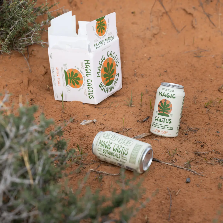 Magic Cactus Spiced Peach