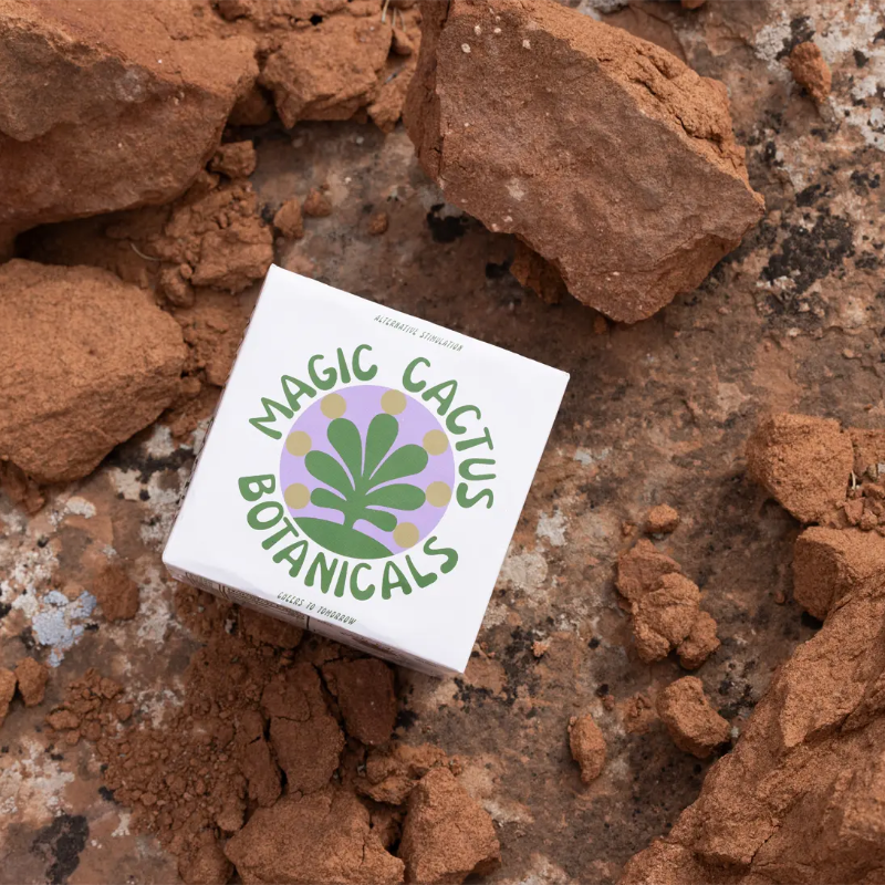 Magic Cactus Lavender Raspberry – Killjoy
