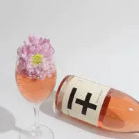 Plus & Minus Rose' 2025